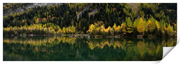 Lac de Derborence in autumn Switzerland Print by Sonny Ryse