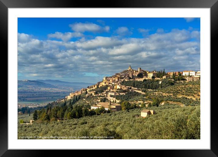 Trevi Framed Mounted Print by DiFigiano Photography