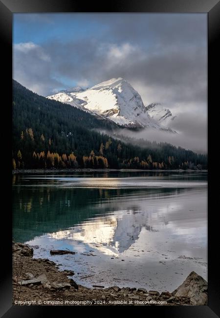 Lake Sufers Reflections Framed Print by DiFigiano Photography
