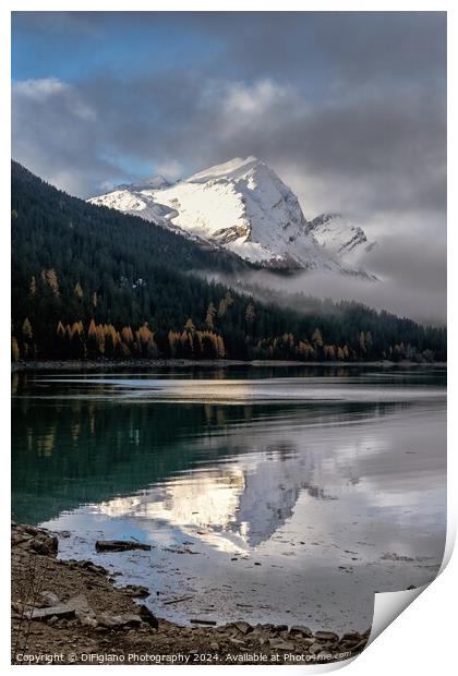 Lake Sufers Reflections Print by DiFigiano Photography