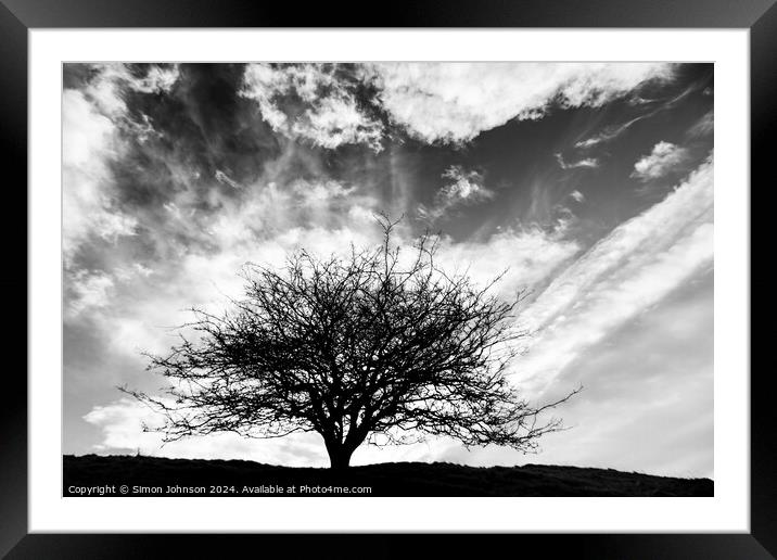 Tree silhouette monochrome  Framed Mounted Print by Simon Johnson