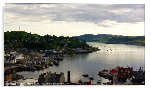 Oban from McCaig's Tower Acrylic by Lee Osborne