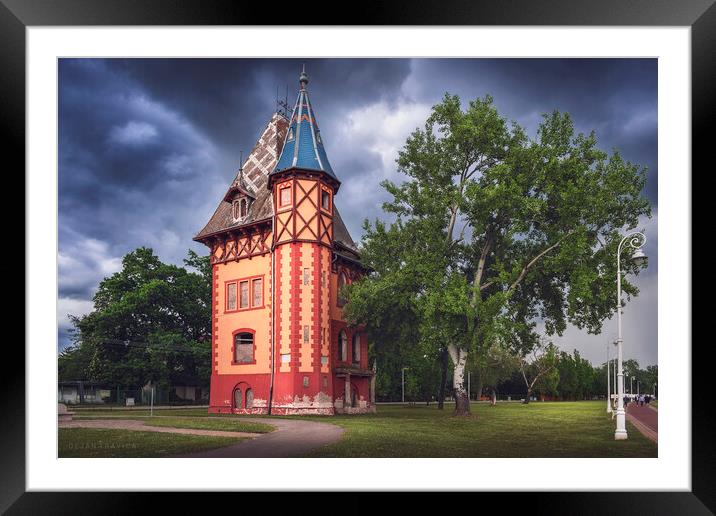The old villa Bagojvar - Owl's tower Framed Mounted Print by Dejan Travica