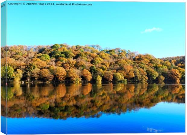 Autumnal colours by Tittersworth reservoir Canvas Print by Andrew Heaps