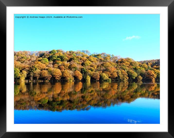 Autumnal colours by Tittersworth reservoir Framed Mounted Print by Andrew Heaps