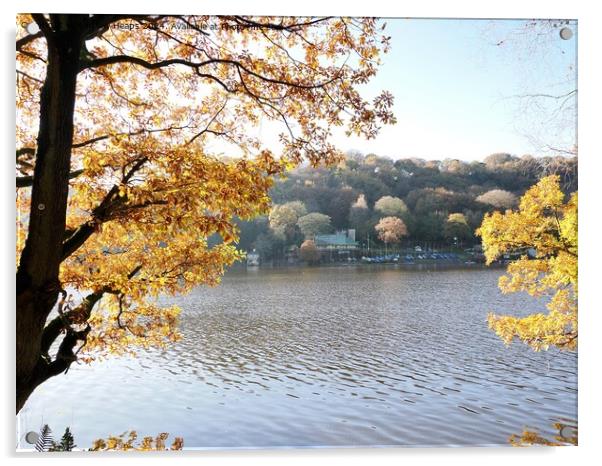 Autumnal day by Rudyard Lake Acrylic by Andrew Heaps
