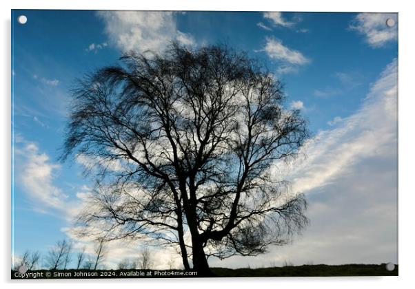 Tree Silhouette  Acrylic by Simon Johnson