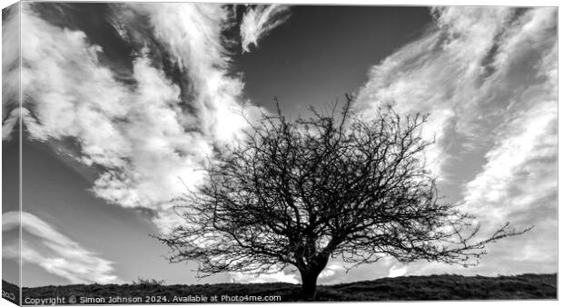 tree silhouette  and cloudscape monochrome  Canvas Print by Simon Johnson
