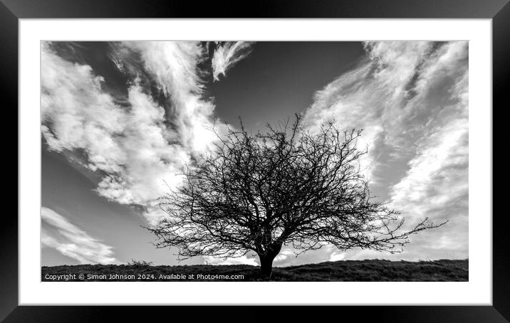  tree silhouette  and cloudscape monochrome  Framed Mounted Print by Simon Johnson