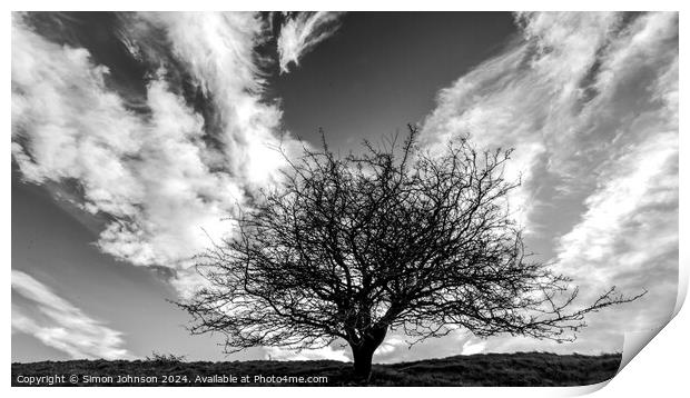  tree silhouette  and cloudscape monochrome  Print by Simon Johnson