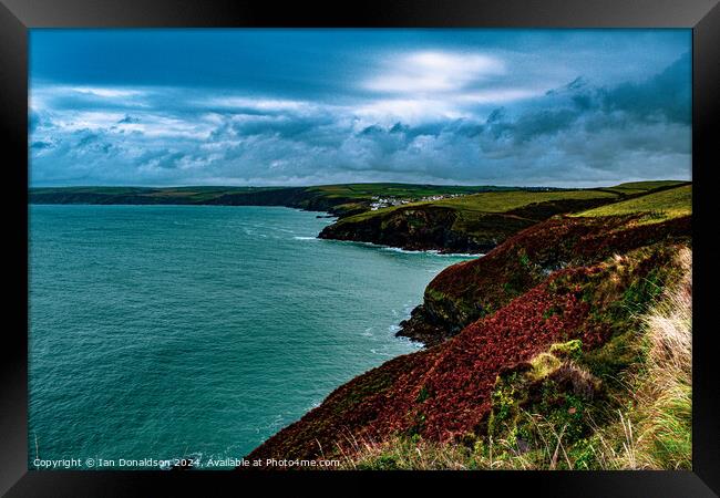 Cornish View Framed Print by Ian Donaldson