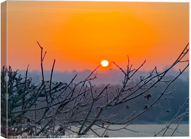 Ice at Dawn Canvas Print by Ian Donaldson