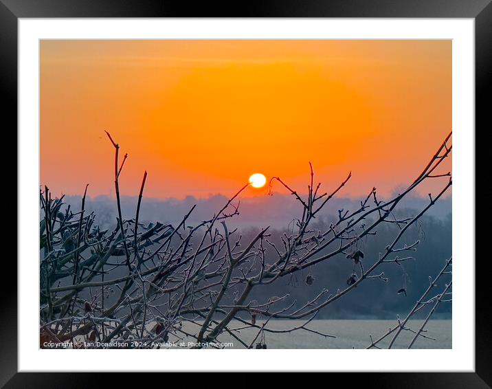 Ice at Dawn Framed Mounted Print by Ian Donaldson