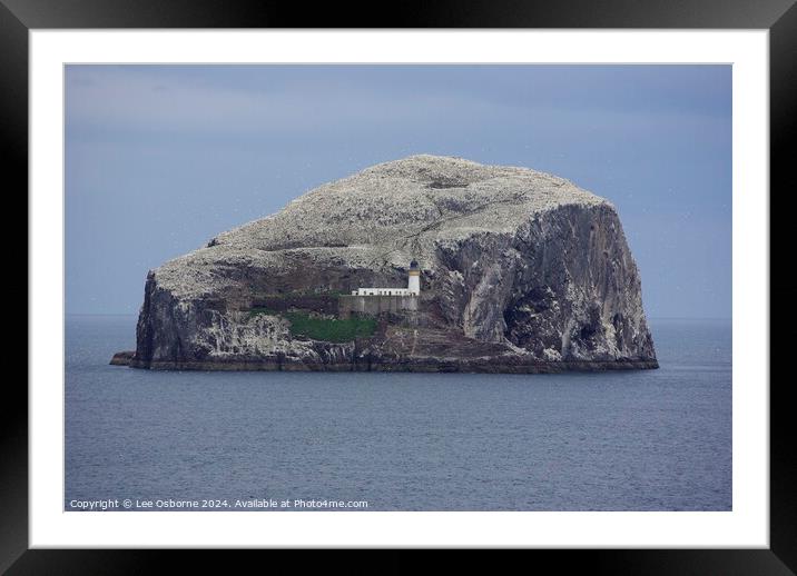 Bass Rock, Firth of Forth Framed Mounted Print by Lee Osborne