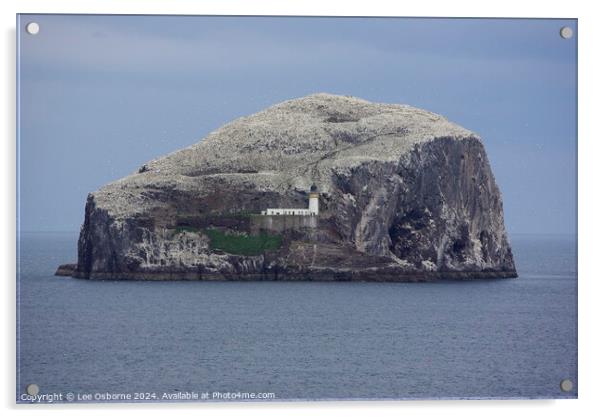 Bass Rock, Firth of Forth Acrylic by Lee Osborne