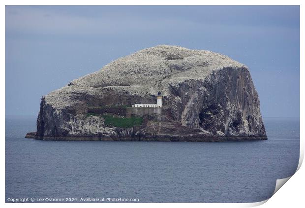Bass Rock, Firth of Forth Print by Lee Osborne