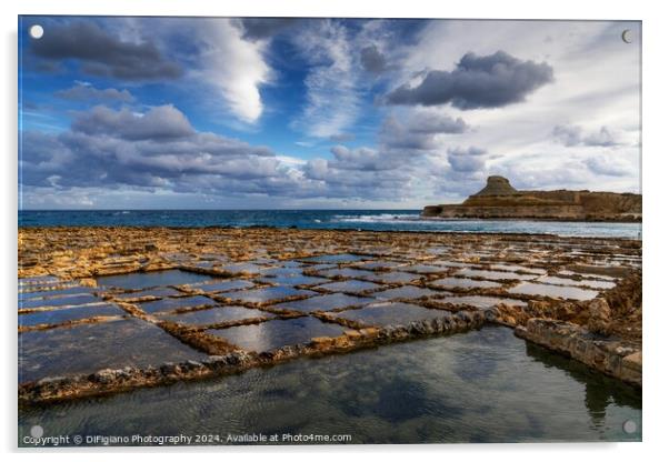 Xwejni Bay Salt Pamns Acrylic by DiFigiano Photography