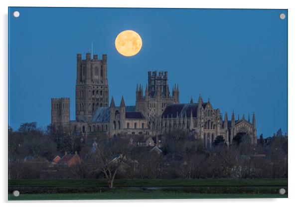Moonset behind Ely Cathedral, 26th December 2023 Acrylic by Andrew Sharpe