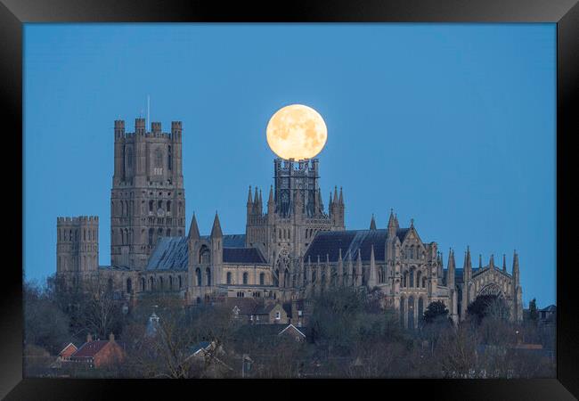Moonset behind Ely Cathedral, 26th December 2023 Framed Print by Andrew Sharpe
