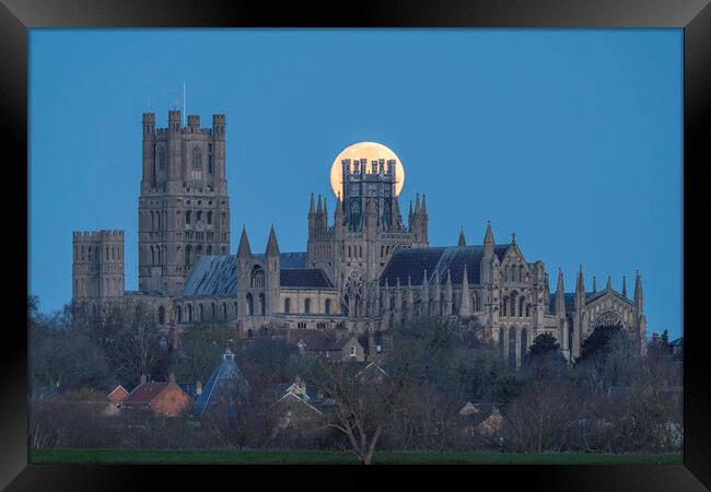 Moonset behind Ely Cathedral, 26th December 2023 Framed Print by Andrew Sharpe
