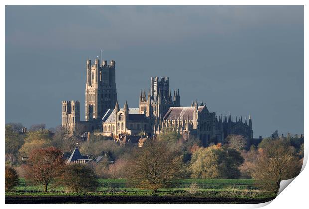 Afternoon autumnal light on Ely Cathedral, 23rd November 2023 Print by Andrew Sharpe