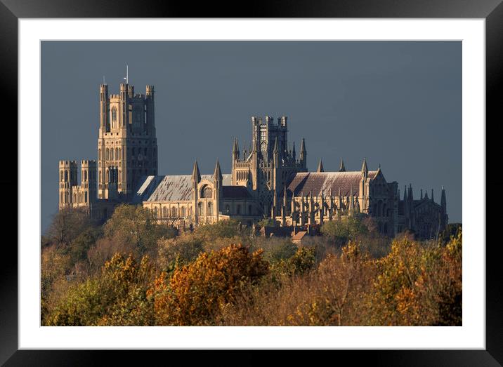 Afternoon autumnal light on Ely Cathedral, 23rd November 2023 Framed Mounted Print by Andrew Sharpe