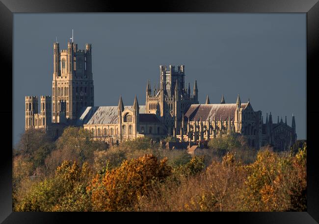 Afternoon autumnal light on Ely Cathedral, 23rd November 2023 Framed Print by Andrew Sharpe