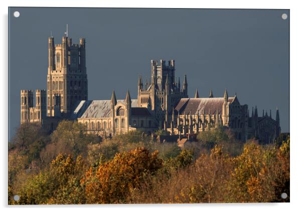 Afternoon autumnal light on Ely Cathedral, 23rd November 2023 Acrylic by Andrew Sharpe