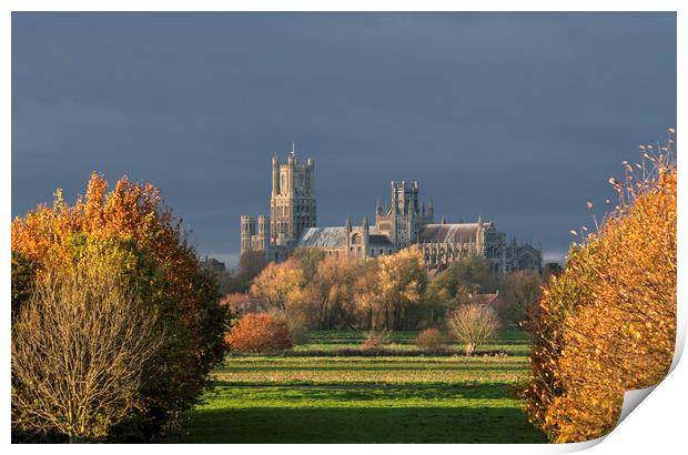 Afternoon autumnal light on Ely Cathedral, 23rd November 2023 Print by Andrew Sharpe