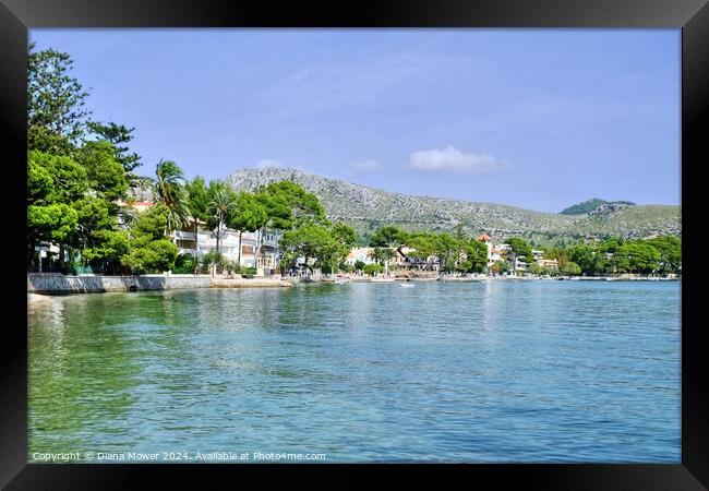 Pine Walk and Bay Puerto Pollensa  Framed Print by Diana Mower