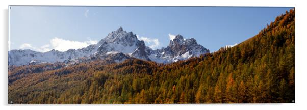 Vallée de la Clarée Golden Autumn colours Massif des Cerces  Acrylic by Sonny Ryse