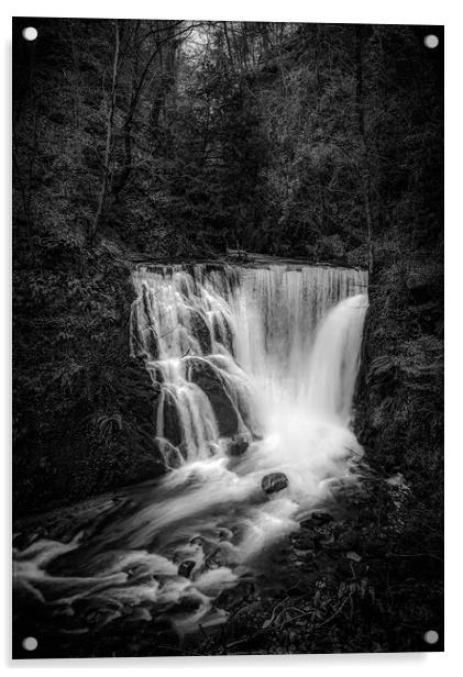 Outdoor waterfall Alva glen innclackmannanshire Acrylic by Jade Scott