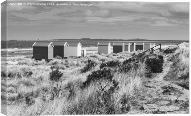 Findhorn Beach Huts Scotland black and white Canvas Print by Pearl Bucknall