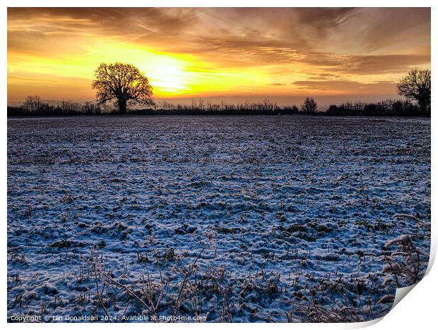 Winter Sunrise Print by Ian Donaldson