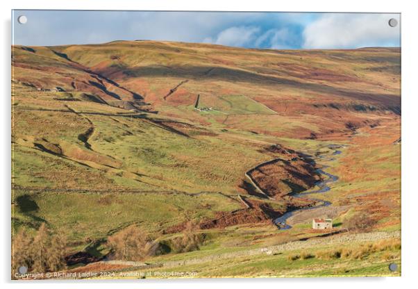 Winter Sun in the Hudeshope towards Coldberry, Tee Acrylic by Richard Laidler