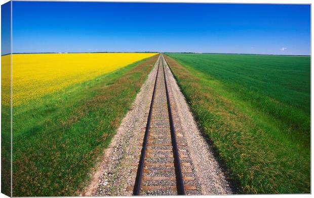 Railway Through Farmland Canvas Print by Dave Reede