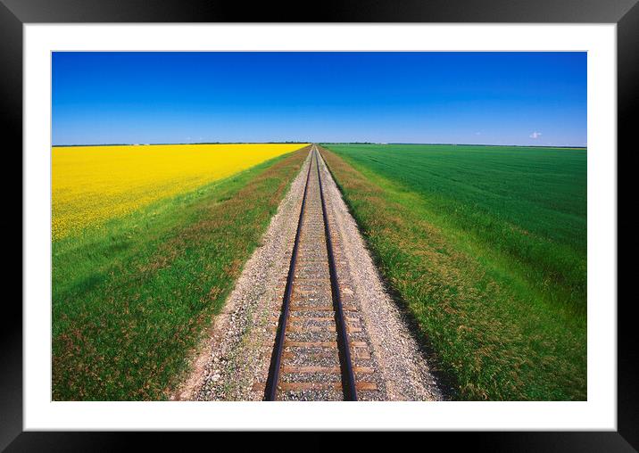 Railway Through Farmland Framed Mounted Print by Dave Reede