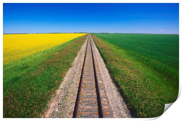 Railway Through Farmland Print by Dave Reede