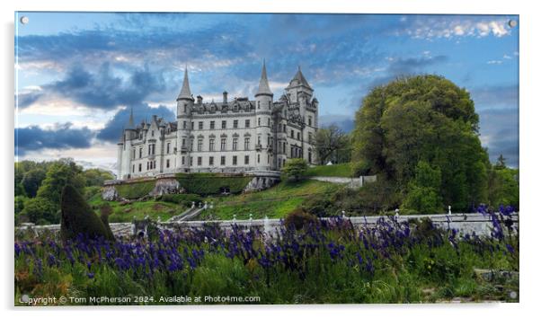 Dunrobin Castle Acrylic by Tom McPherson