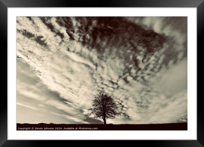 Tree Silhouette  Framed Mounted Print by Simon Johnson