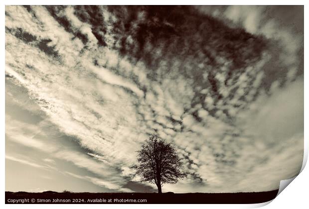 Tree Silhouette  Print by Simon Johnson