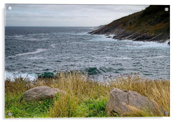 Newfoundland Landscape  Acrylic by Martyn Arnold