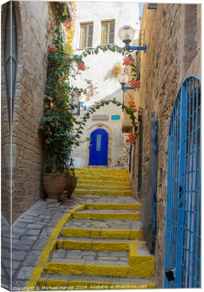 A colourful narrow street and steps in Jaffa Israel Canvas Print by Michael Harper