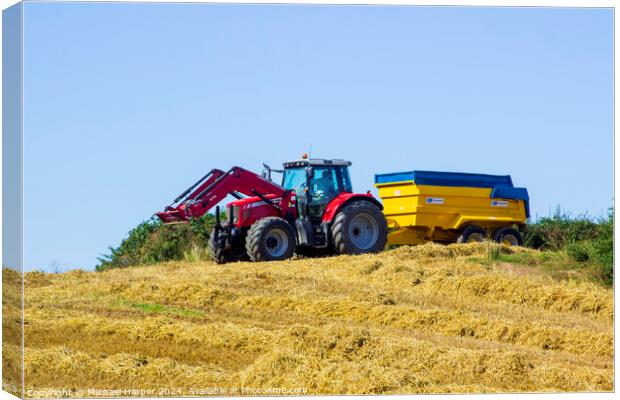 A Massey Ferguson tractor and trailer in a field Canvas Print by Michael Harper