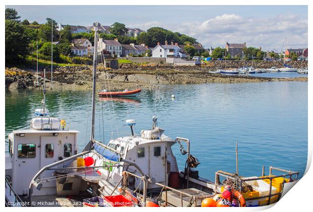 A view of Ardglass village main street from across the harbour  Print by Michael Harper