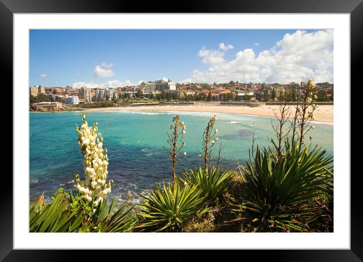Yucca flowers with people swimming in the sea and sunbathing on  Framed Mounted Print by Kevin Hellon