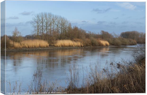River Scheldt View, near Dendermonde, Belgium Canvas Print by Imladris 