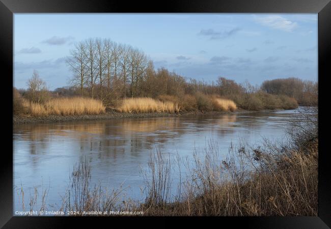 River Scheldt View, near Dendermonde, Belgium Framed Print by Imladris 