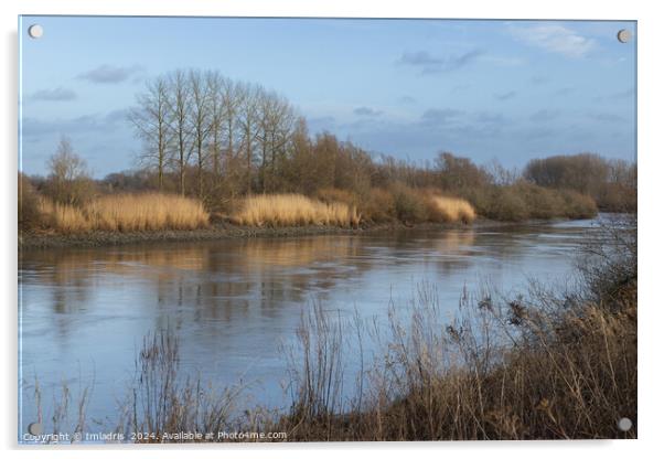 River Scheldt View, near Dendermonde, Belgium Acrylic by Imladris 