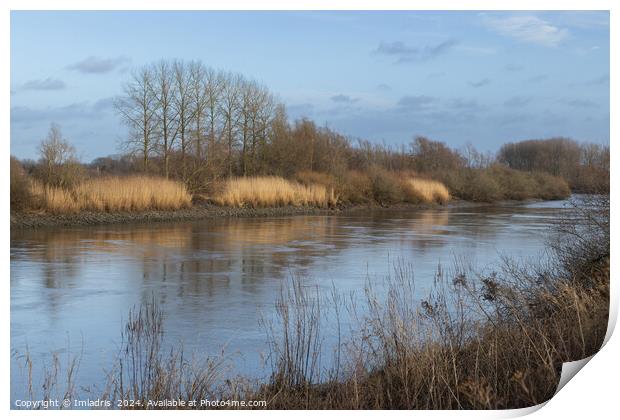River Scheldt View, near Dendermonde, Belgium Print by Imladris 